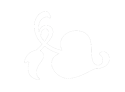 Logo Service Excellence Navigator (SEN)
